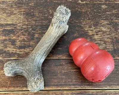 自宅で撮影した愛犬が好きな噛むおもちゃ