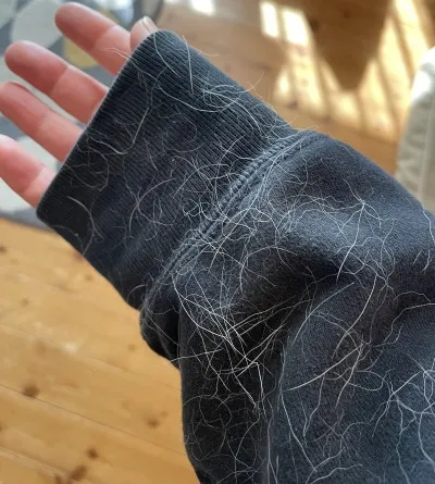 ラブラドールをなでて毛だらけになった私の服