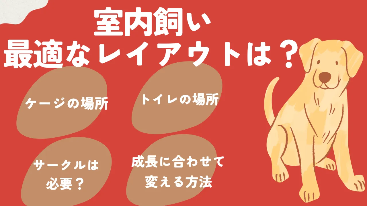 ラブラドールの室内飼い時のレイアウトについて