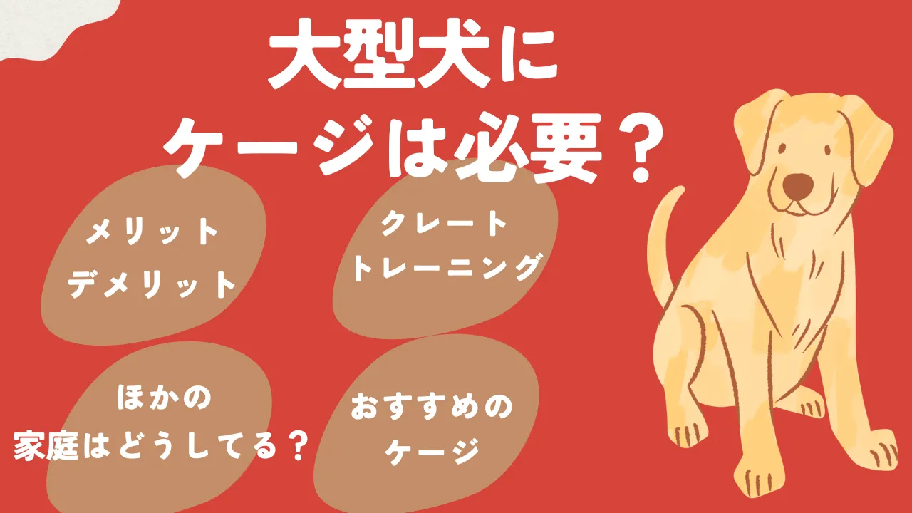 大型犬のケージについて