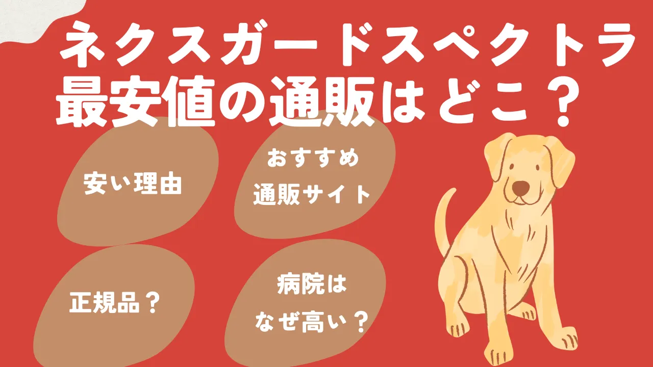 ネクスガードスペクトラが最安値で買える通販サイトについて