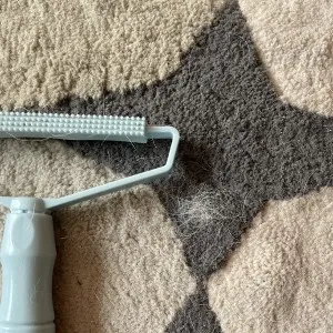 専用グッズでわが家のラグを掃除したところ