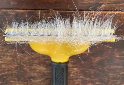 10回犬をブラッシング後のレーキングブラシ