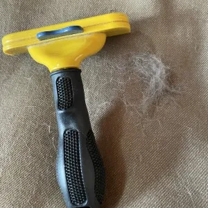 ファーミネーターでわが家の犬用ベッドを掃除したところ