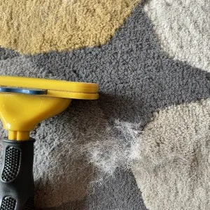 ファーミネーターでわが家のラグを掃除したところ