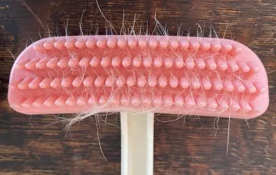 10回犬をなでた後のラバーブラシ