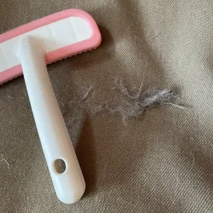 ビーボンラバーブラシでわが家の犬用ベッドを掃除したところ