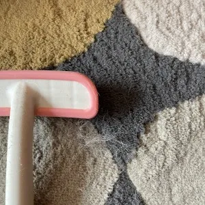 ビーボンラバーブラシでわが家のラグを掃除したところ