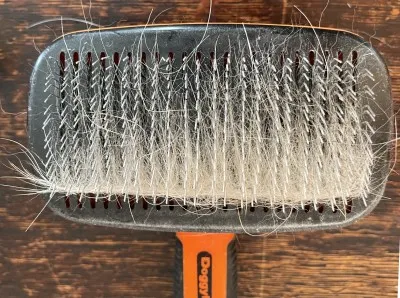 10回犬をブラッシング後のスリッカーブラシ