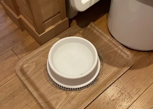 わが家で使っている水飲みボウル用のトレー