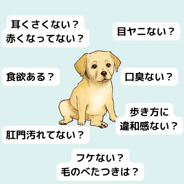 子犬の健康チェック項目