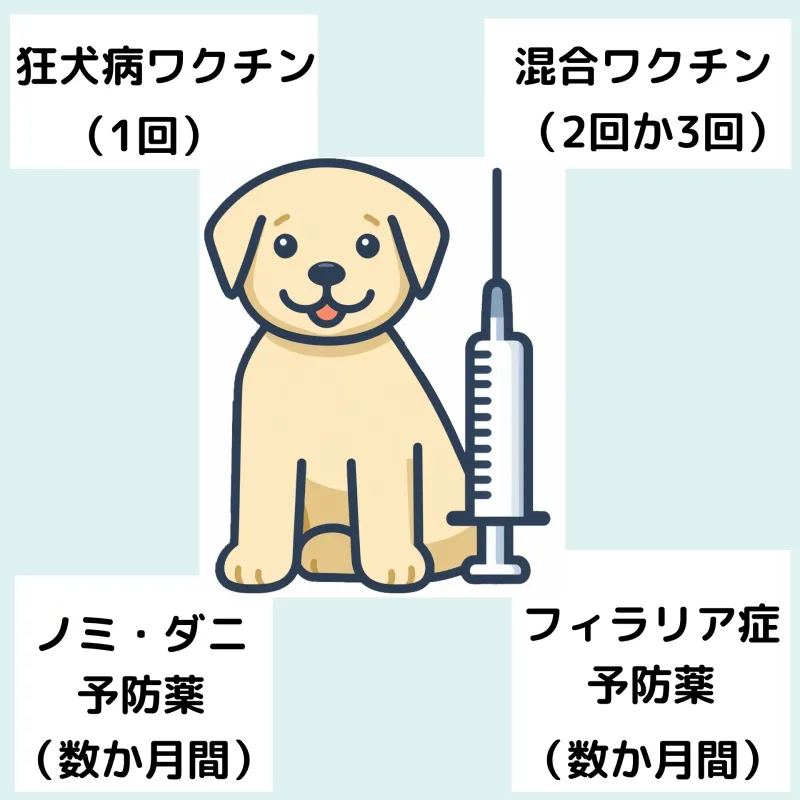 子犬のワクチンと予防薬